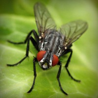 /album/salud-y-vida/photolia-a01-jpg/