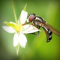 /album/salud-y-vida/photolia-a02-jpg/