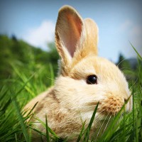 /album/salud-y-vida/photolia-a03-jpg/