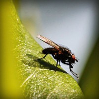 /album/salud-y-vida/photolia-a04-jpg/