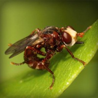 /album/salud-y-vida/photolia-a06-jpg/