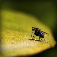 /album/salud-y-vida/photolia-a07-jpg/