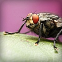 /album/salud-y-vida/photolia-a08-jpg/